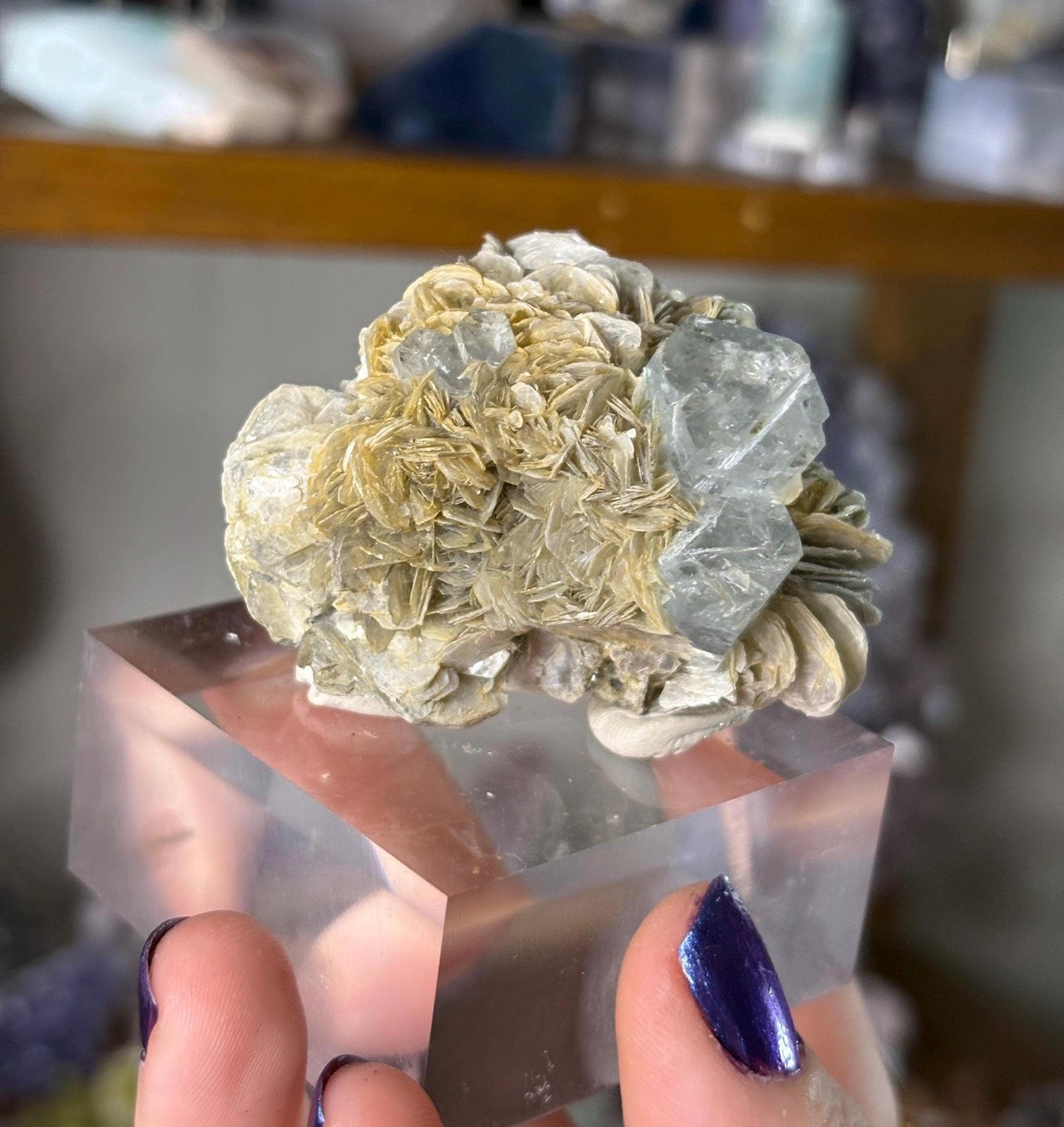 Aquamarine on Muscovite | Pakistan Mineral Specimen | Collector Display Crystal