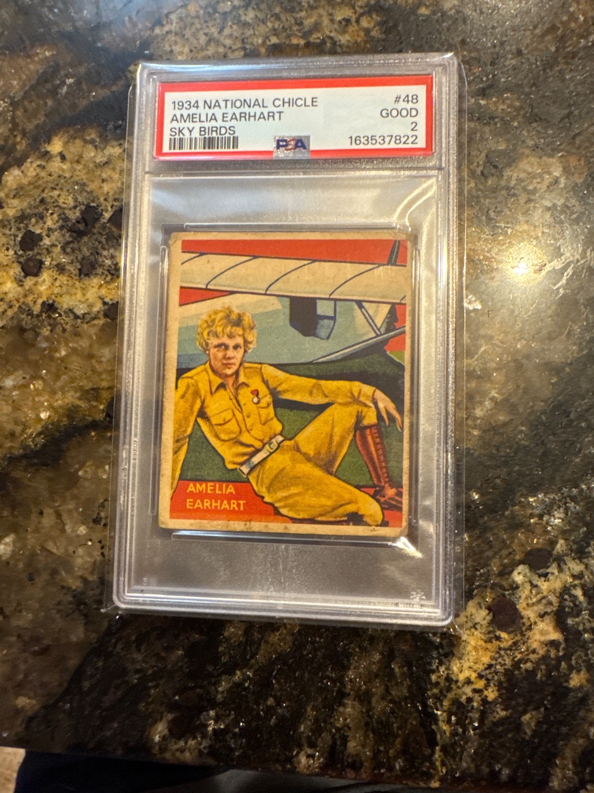 1933 National Chicle Sky Birds R136 Series of 144 Amelia Earhart #48 PSA 2 fm5 1933 National Chicle Sky Birds R136 Series of 144 Amelia Earhart #48 PSA 2 fm5