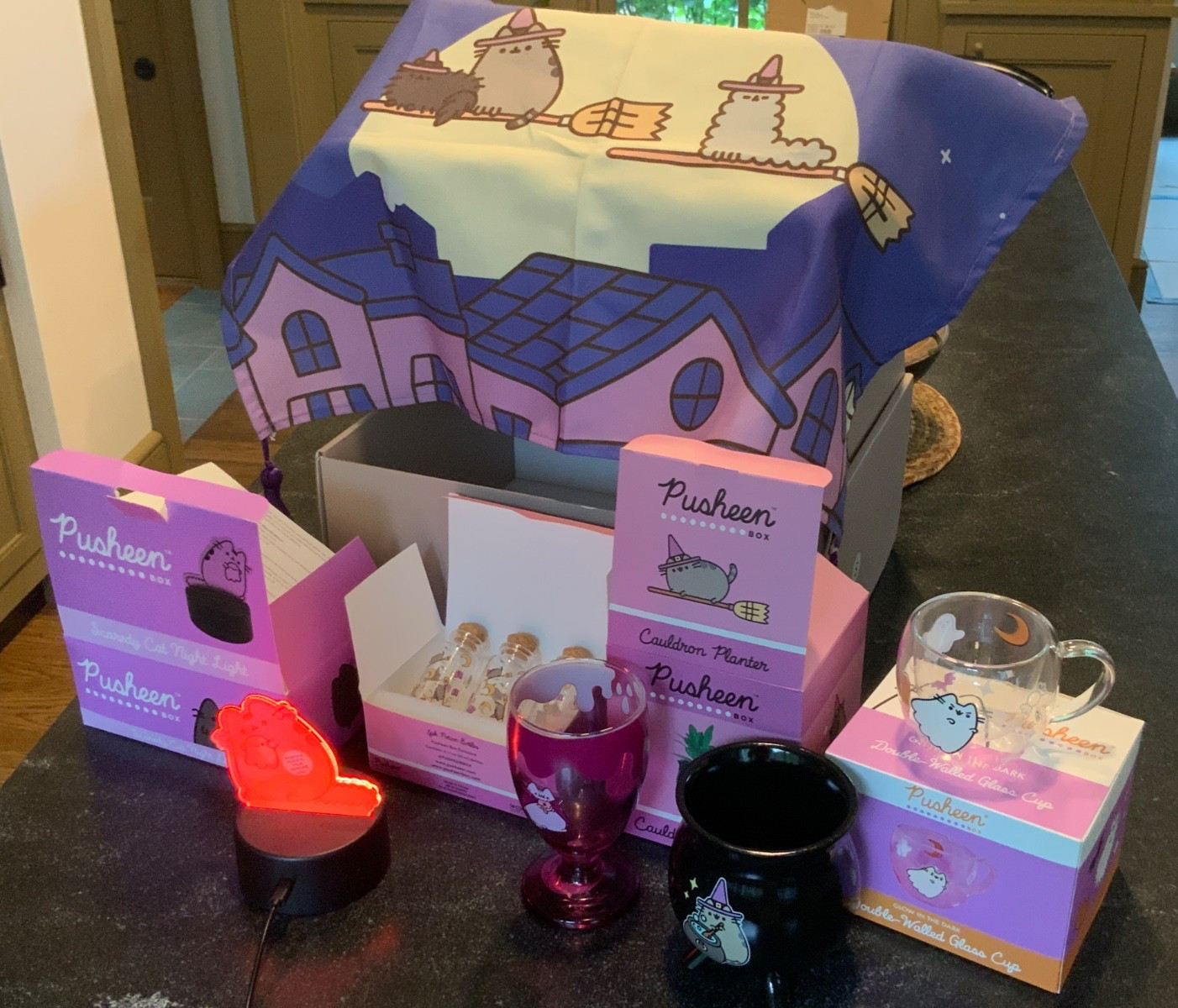 New Pusheen Exclusive Halloween Boxes Multiple Sets Incomplete 2022-2024 New Pusheen Exclusive Halloween Boxes Multiple Sets Incomplete 2022-2024