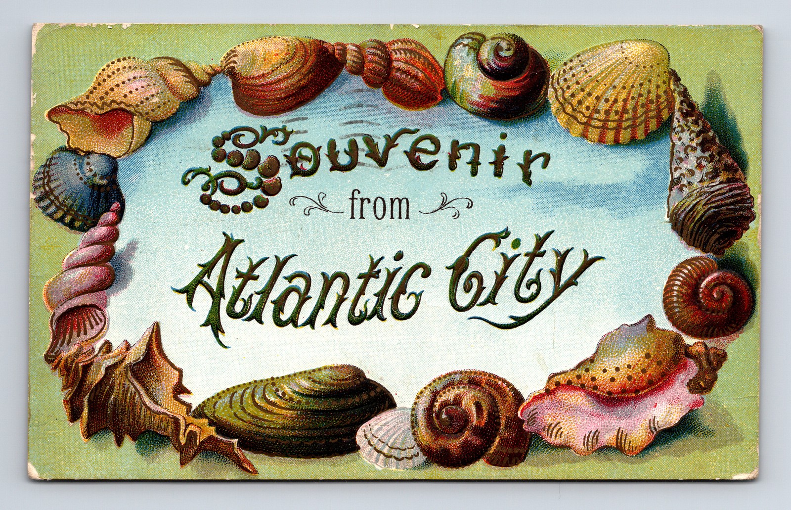 1909 Shell Border Souvenir Atlantic City NJ HUBIN's Big Post Card Store Postcard