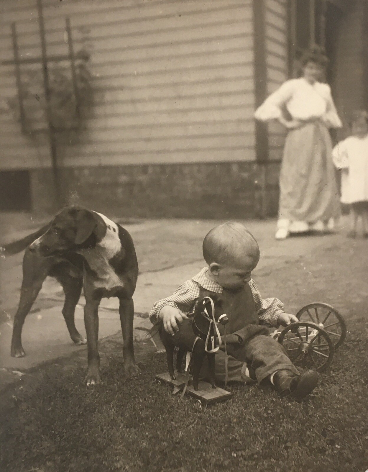 Vintage 1910’s PHOTO TODDLER broken pull toy horse DOG Mom sister cleveland OHIO
