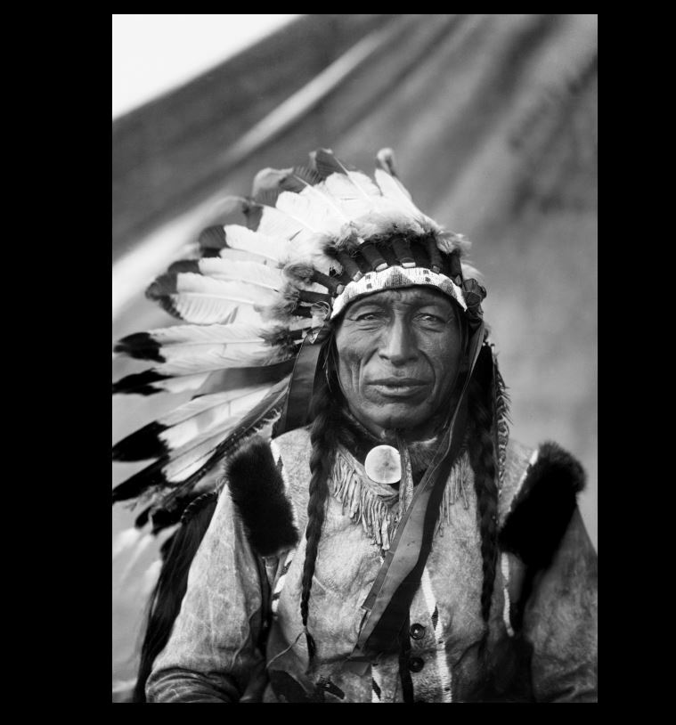 1905 Chief Iron Tail PHOTO Buffalo Nickel, Buffalo Bill Wild West Show Star 1905 Chief Iron Tail PHOTO Buffalo Nickel, Buffalo Bill Wild West Show Star
