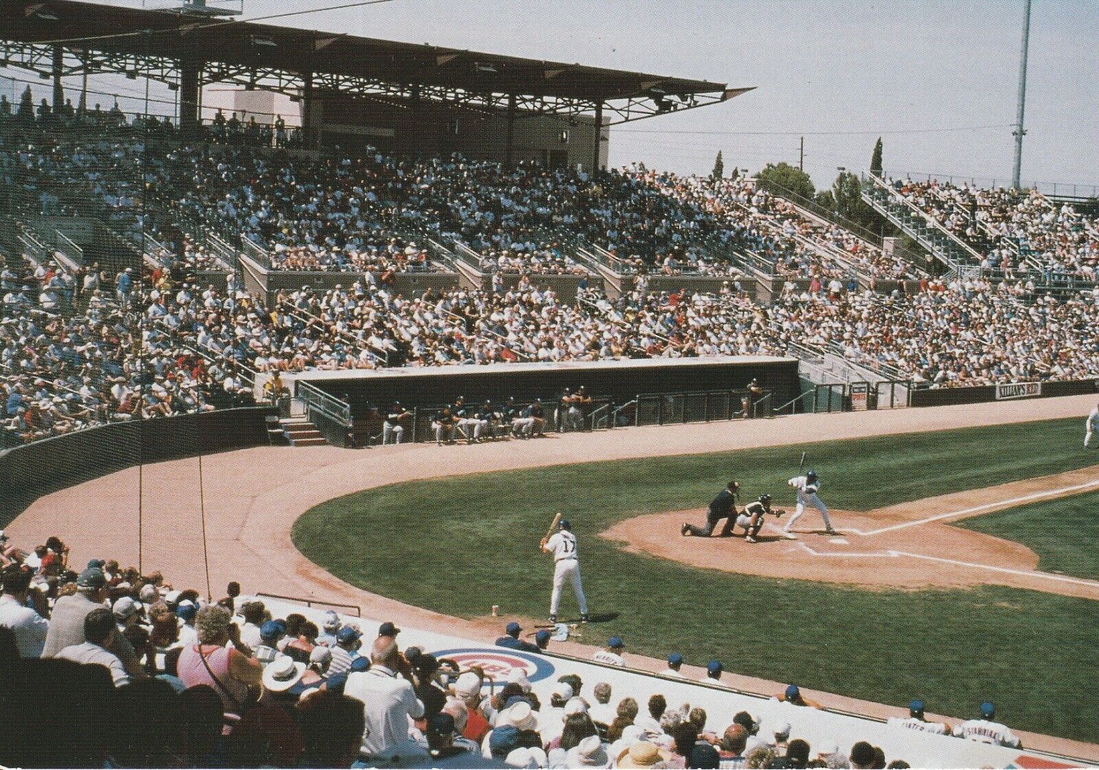 Chicago Cubs Hohokam Park Mesa Arizona Spring Training Stadium Postcard #1