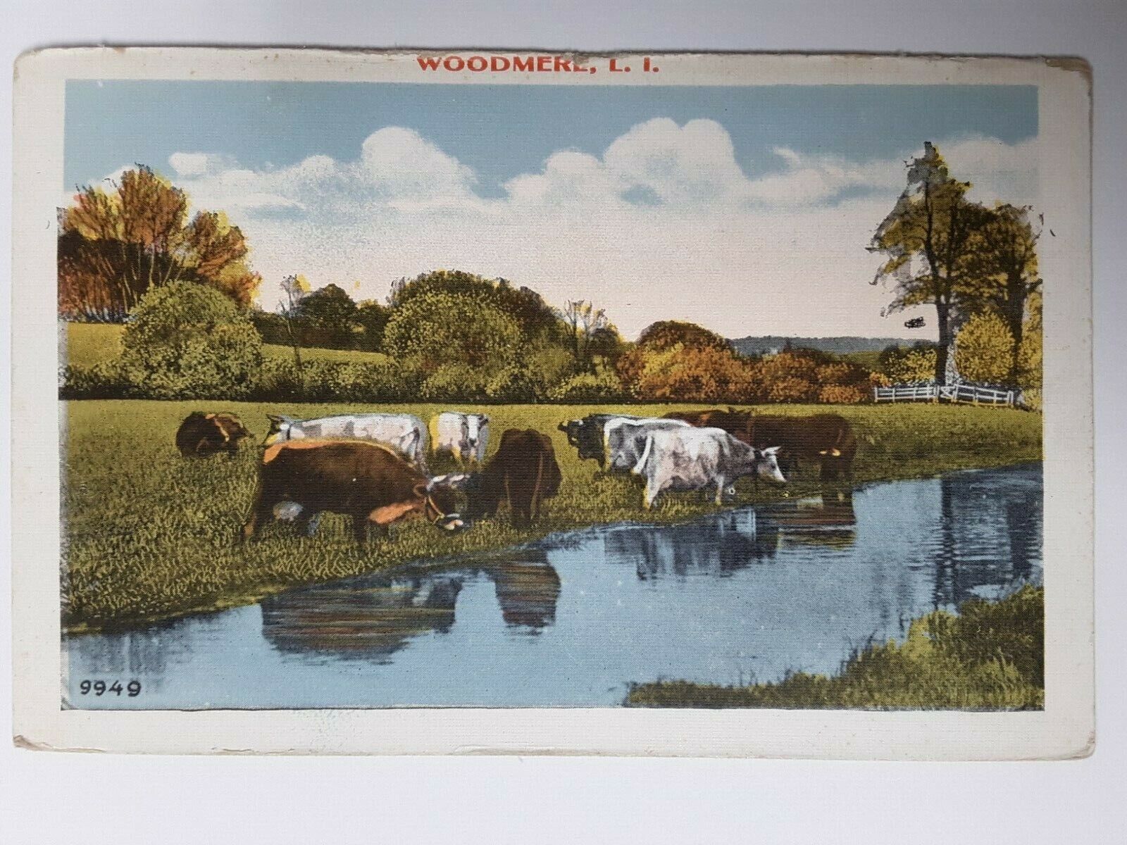 cows, Woodmere, Long Island, New York, vintage postcard unsent 1920s 1930s 1940s