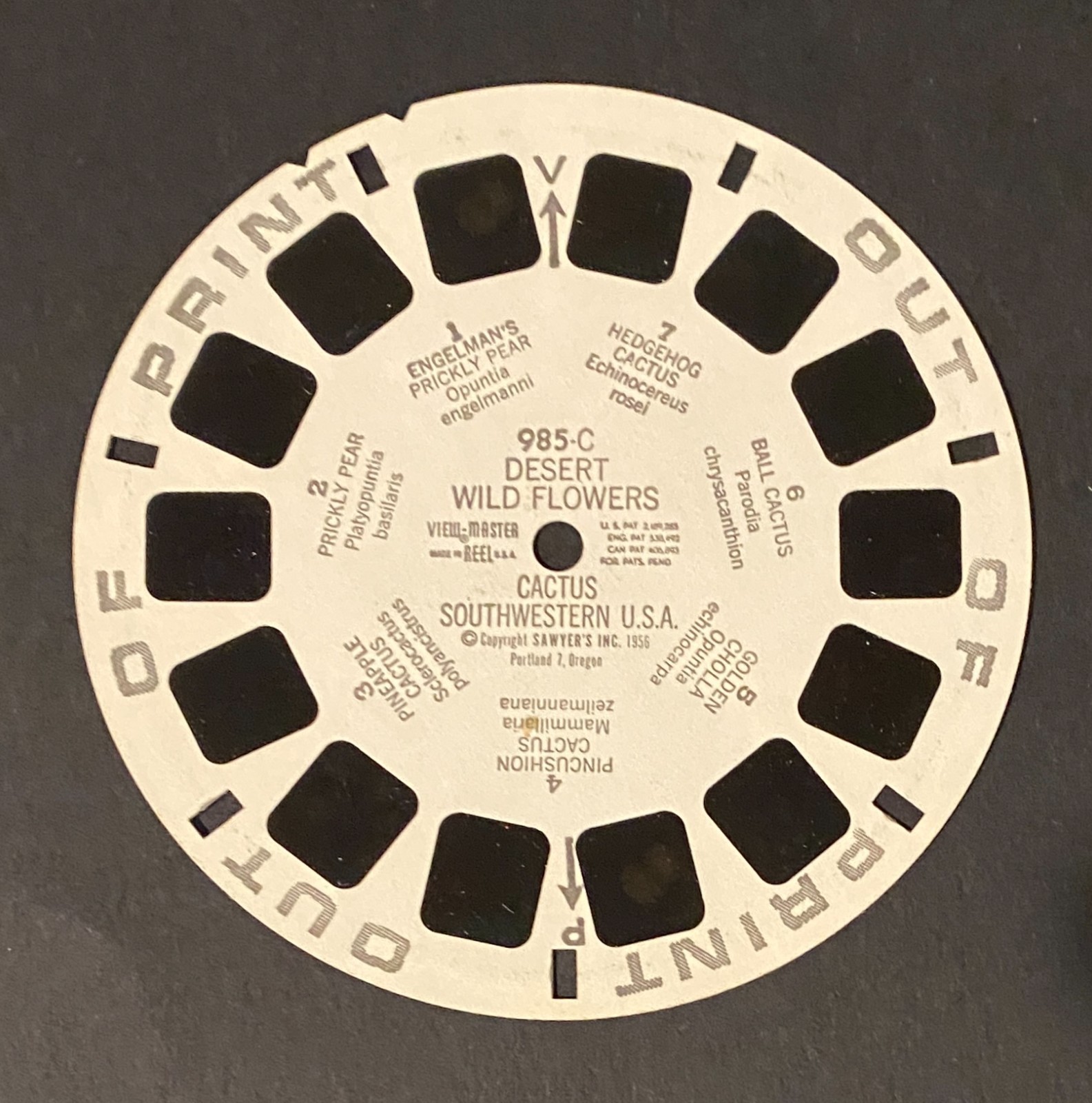 View Master Reels - Out of Print Stamped Reels - You Pick View Master Reels - Out of Print Stamped Reels - You Pick