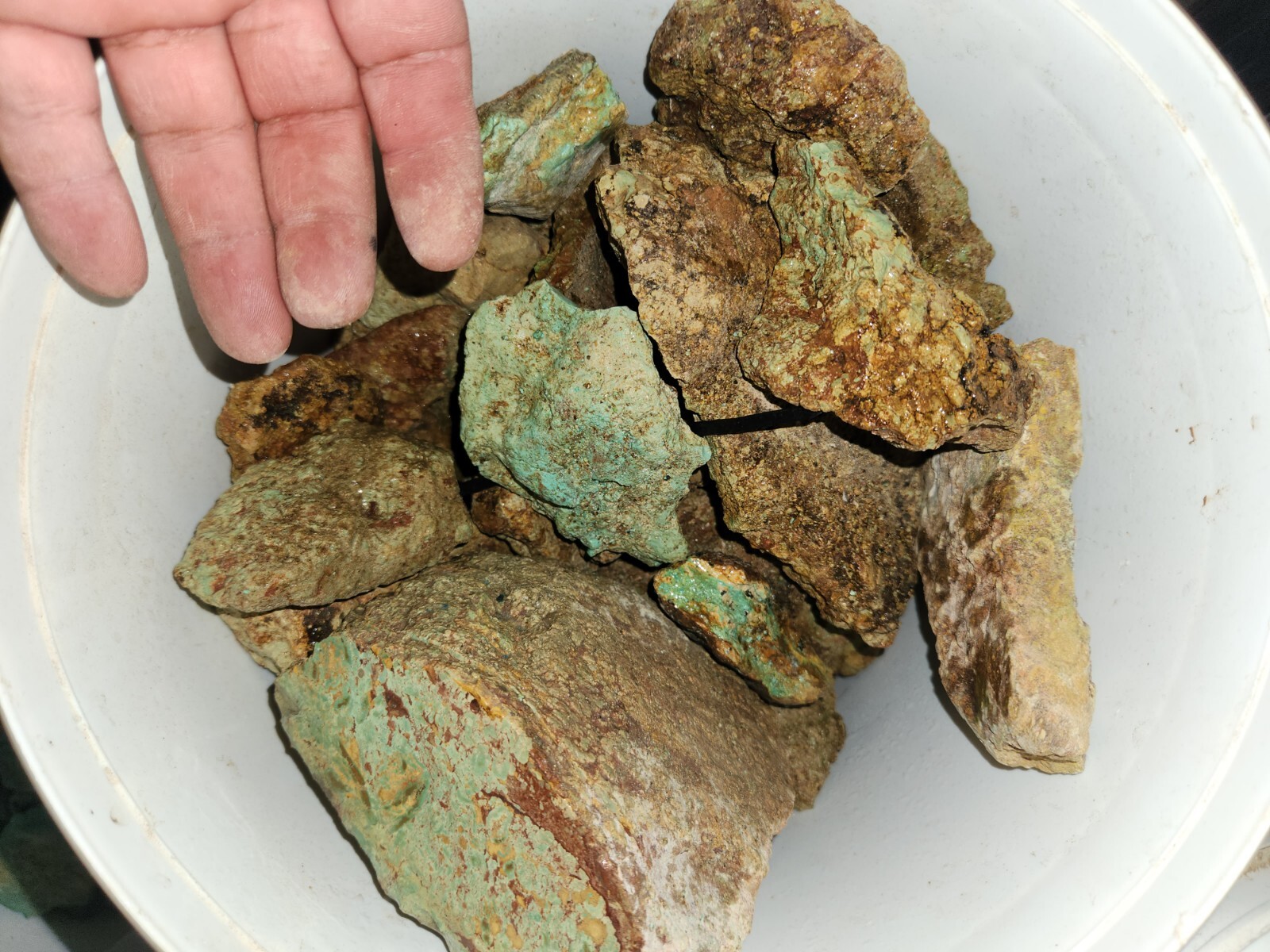Stabilized green turquoise With Red Matrix rough By The Pound 1/2Inch Plus Sizes Stabilized green turquoise With Red Matrix rough By The Pound 1/2Inch Plus Sizes
