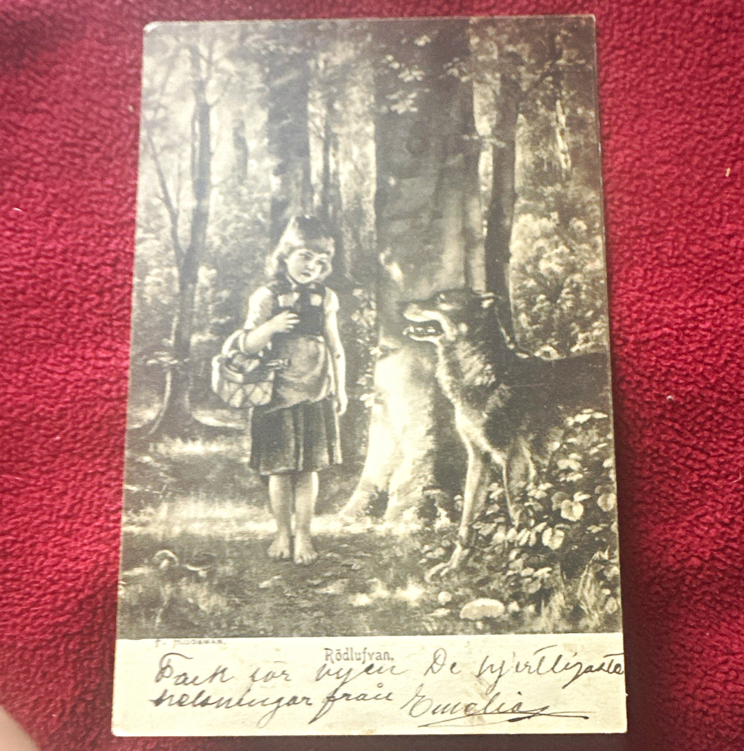 Vtg Postcard Little Red Riding Hood Forest Fantasy Lithograph 1901 Vtg Postcard Little Red Riding Hood Forest Fantasy Lithograph 1901