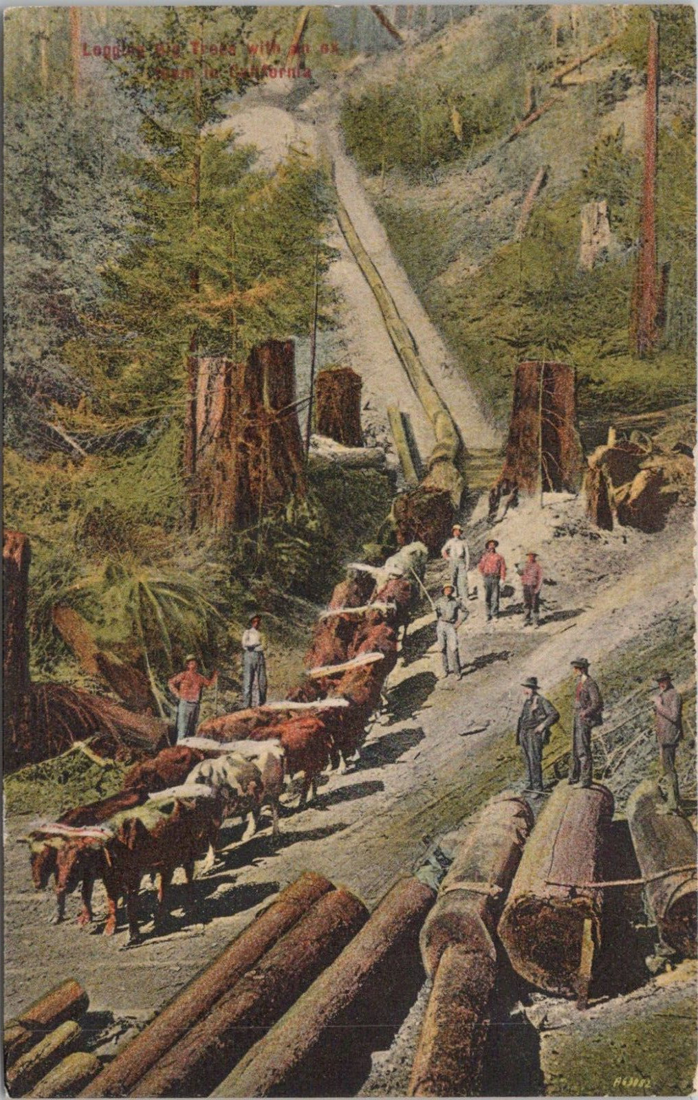 Lithograph California Lumber Scene Lithograph California Lumber Scene