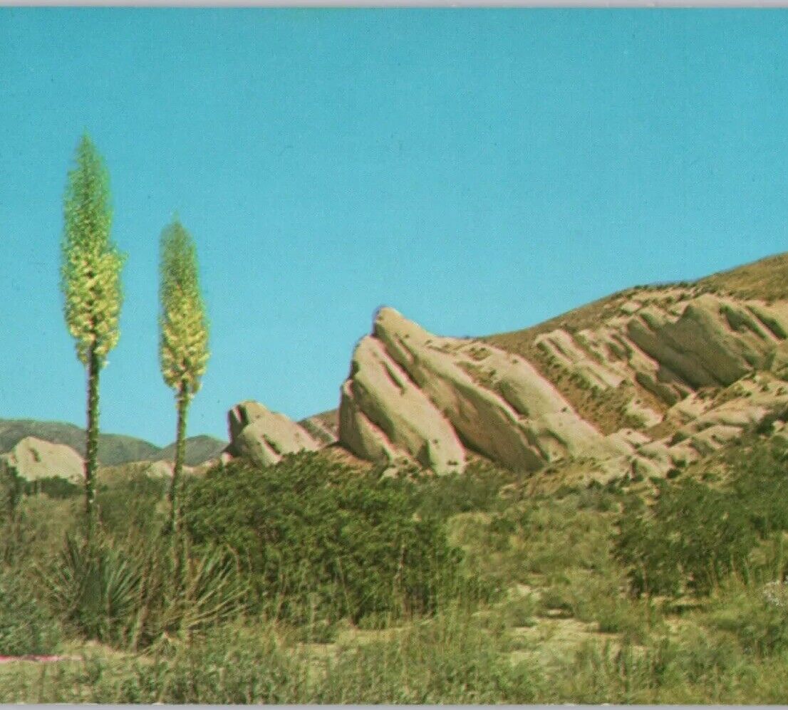 Singing (Mormon) Rocks of the Cajon CA Merle Porter 1960s VTG Postcard Unposted