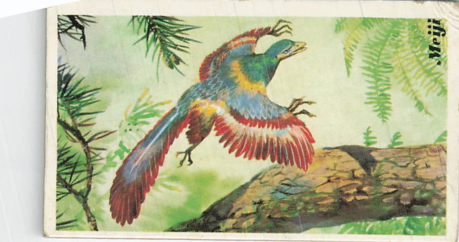 Meiji Dinosaur Information Card Vintage 12 Archaeopteryx Prehistoric Bird