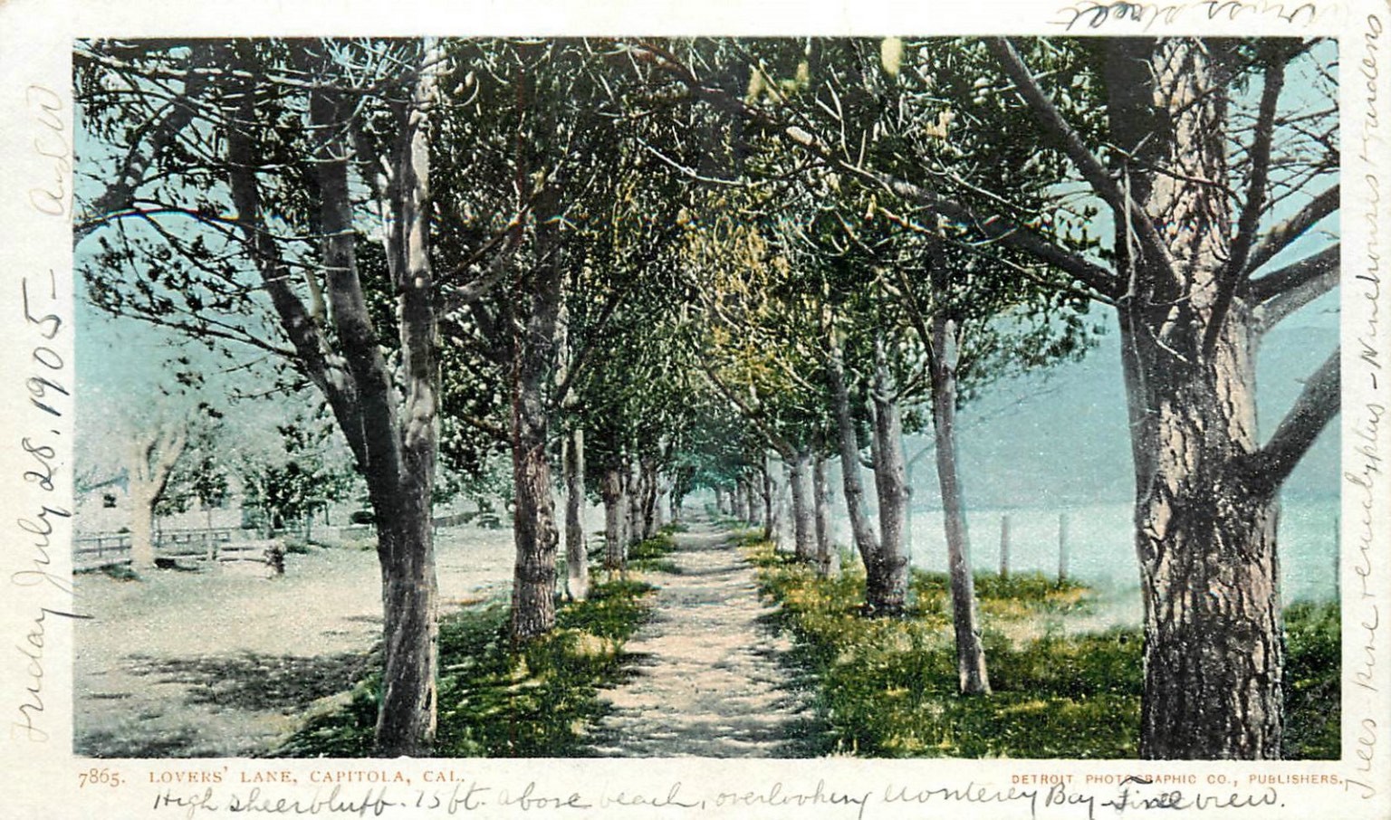 1905 Lovers' Lane Capitola CA Postcard Detroit Photographic Co Monterey Bay View