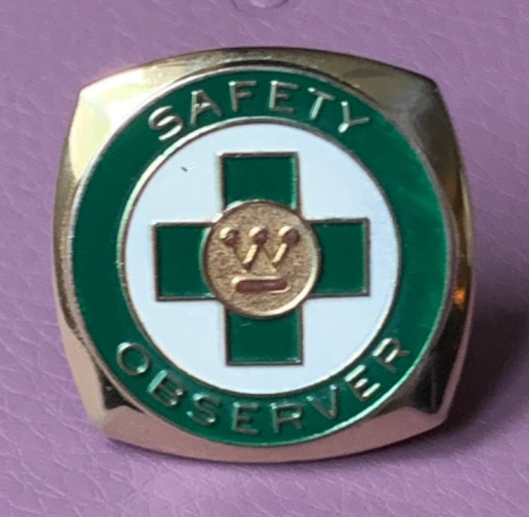 Vtg c.1950s WESTINGHOUSE Safety Observor Goldtone Employee Award Pin INDUSTRIAL Vtg c.1950s WESTINGHOUSE Safety Observor Goldtone Employee Award Pin INDUSTRIAL