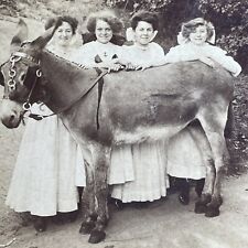Antique 1907 Four Beauties And A Donkey Stereoview Photo Card PC793 picture