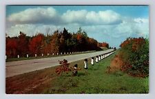 Petoskey MI-Michigan, Scenic Road General Greetings, Antique, Vintage Postcard picture