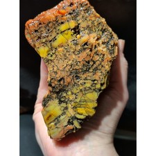 Arizona Petrified Wood Multicolored Specimen Natural Form (2lbs 6oz) picture