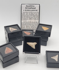 1 One Random Neolithic Arrowhead 8,000–3,000 BC w/ Display Case & History Card picture