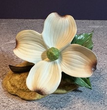 Vintage 1987 Porcelain White Dogwood Flower Figurine Andrea By Sadek 8037 Japan picture
