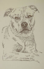 AMERICAN PIT BULL TERRIER DOG ART Print 30 Kline adds dogs name free into print picture