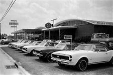 1967  CHEVROLET AUTO DEALERSHIP Photo CAMAROS in Front  (178-G) picture