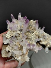 Veracruz Amethyst Crystal Cluster Plate Vera Cruz Crystals #E8294 picture