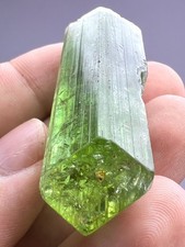 95 CT. Full Terminated Green Tourmaline Crystal - Oyo, Nigeria picture