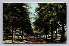 Pullman Vintage West Virginia Postcard WHEELING Heiskell Avenue View 1909 picture