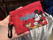 Disneyland Paris wallet with clear pouch for ID. Brand New, Never used. picture