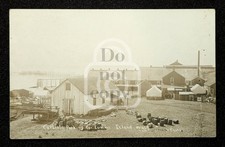 Rare RPPC Carlisle Packing Co. Lummi Island Washington. C 1913 Whatcom Co.  picture