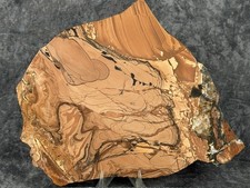 Choice Rare XXL  Willow Creek Jasper Slab, Lot#1483 picture