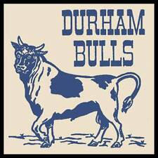 Durham Bulls Baseball Team Fridge Magnet picture