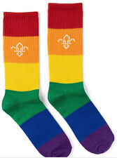Scout World Socks - Pride Scout Socks (pair) from Gilwel, UK picture