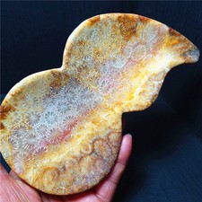 RARE 312G Natural Polished Colorful Coral jade Agate Crystal Gourd Healing A4818 picture