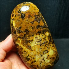 Rare 429G Natural Inner Mongolia Gobi Eye Agate Geode Collection Healing WYY1468 picture