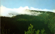 Early Morning Mist On Mount Greylock Massachusetts Vintage Postcard picture