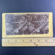 Saddleback Falls Stereoview Frank A. Morrill Maine 1870s Oquossoc picture