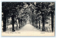 c1910s Trinity College, Lime Walk Oxford England EN Unposted Antique Postcard picture