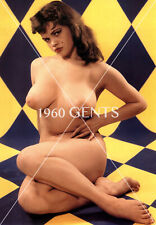 1950s Photo Fine Art Big Breasts Brunette Model Artistic Rosina Revelle RR11 picture