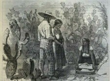 1874 Mexico Monterey Saddle Mountain Guanaxuato Queretaro Church of San Diego picture