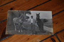 Vintage Postcard - Man With 2 Beautiful Horses - RPPC picture