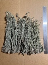 3 Ounces Of Dried Whole Wild Sagebrush Plants From East Arizona, For Smudging & picture