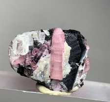 31 Carat Beautiful Pink with black Tourmaline Crystal Bunch from Afghanistan picture