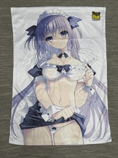 Dengeki Otona no Moeoh May 22’ special edition Vol 11 Vis Magazine Pillow Cover picture