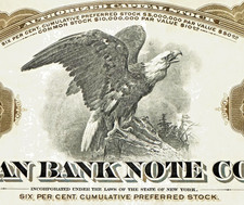 Antique π¦
American Bank Note Co Eagle Stock Certificate, Brown Preferred picture