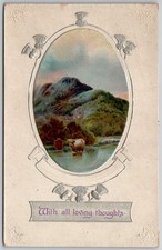 Embossed Scottish Highland Cattle Thistle Postcard B.B. London c1910 picture