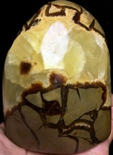 616g AAAA++++ Madagascar Large Dragon Septarian Crystal Geode Healing C524 picture