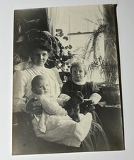 c1910 5x7 Photograph Edwardian Woman Children Dog Interior Fern Exceptional picture