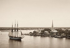 Charleston Harbor Bird's-Eye View - Antique Engraving Print picture