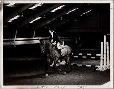 Vintage Montini High School Lombard Illinois Horse Jumping Equestrian Photo 8x10 picture