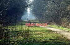PHOTO  OLD RAILWAY SOUTH OF SOUTH WIGSTON THIS PART OF THE OLD LEICESTER - RUGBY picture