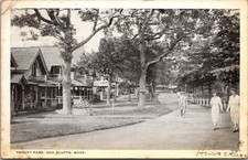 Trinity Park, Oak Bluffs, Massachusetts Postcard Posted 1930 picture